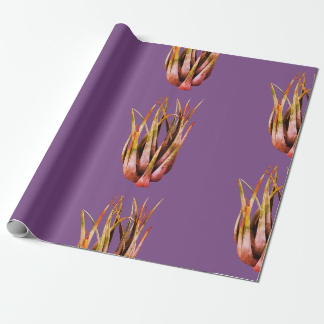 Regalo Papel de ajuste fotográfico de ALoe Vera (Desenrollado)