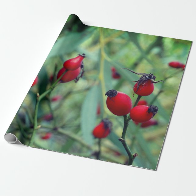 Regalo Papel de ajuste fotográfico de otoño de cadera Ros (Desenrollado)