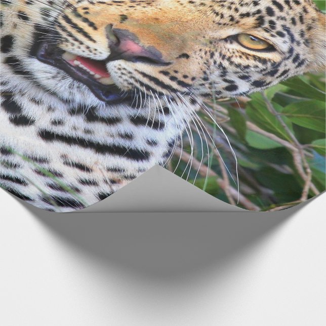 Regalo Papel de ajuste Leopard 6 (Esquina)