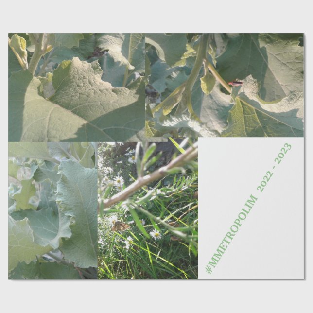 Regalo Papel de ajuste/MMETROPOLIMdesign (Superficie plana)