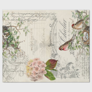 Regalo Papel de Decoupage 60lb del pájaro de las