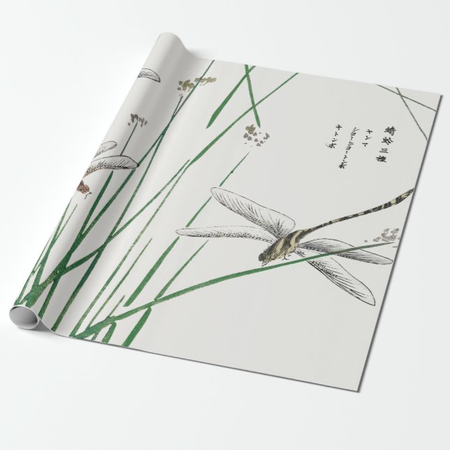 Regalo Papel de embalaje ADAPTABLE de la MOSCA JAPONESA (Desenrollado)