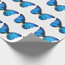 Papel de embalaje azul de la mariposa