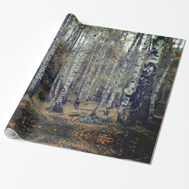 Regalo Papel de embalaje brillante de Forrest del abedul, (Desenrollado)