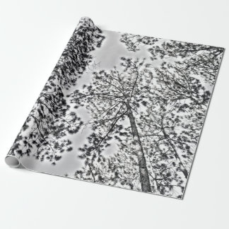 Regalo Papel de embalaje de Gumtree