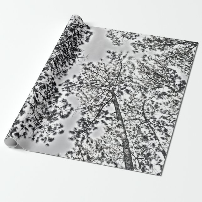 Regalo Papel de embalaje de Gumtree (Desenrollado)