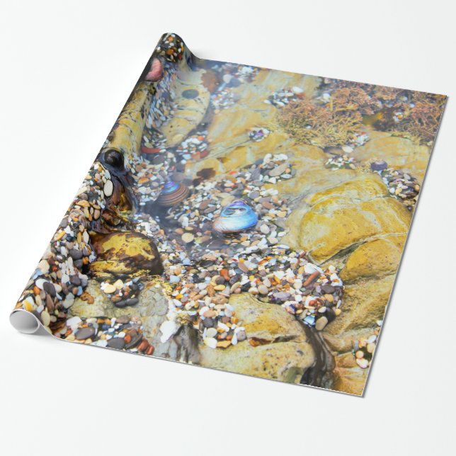 Regalo Papel de embalaje de la piscina de la marea (Desenrollado)