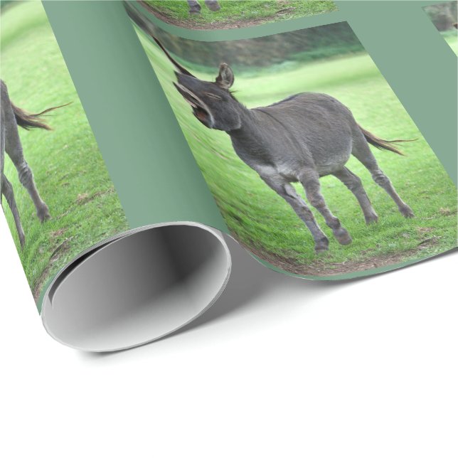 Regalo Papel de embalaje de la risa del burro (Esquina del rollo)
