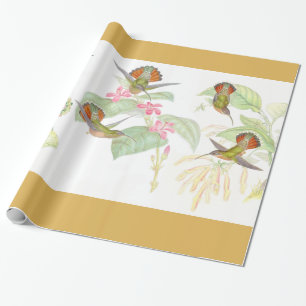 Regalo Papel de embalaje de los colibríes de Goulds