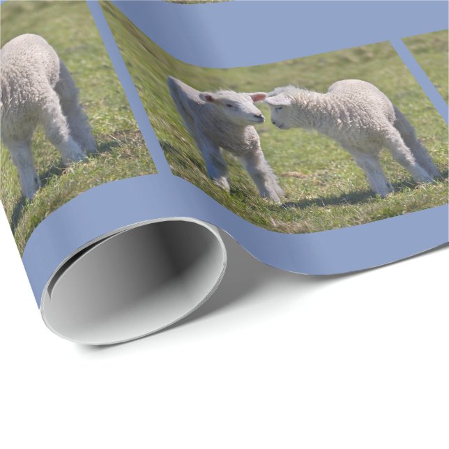 Regalo Papel de embalaje de los corderos de la primavera (Esquina del rollo)