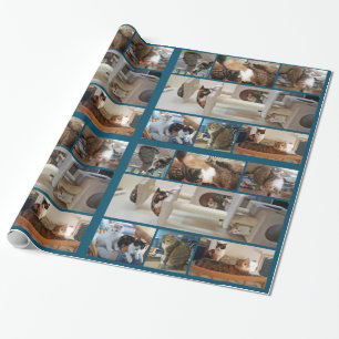 Regalo Papel de embalaje de los gatos