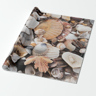 Regalo Papel de embalaje del diseño de la cáscara del mar