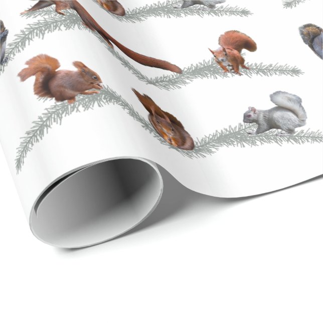 Regalo Papel de embalaje del frenesí de la ardilla (elija (Esquina del rollo)