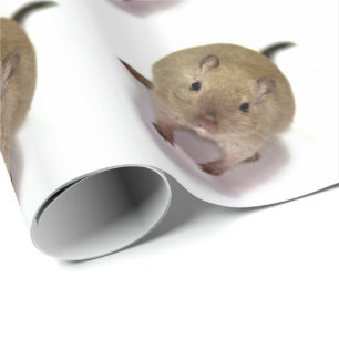 Regalo Papel de embalaje del Gerbil (blanco)