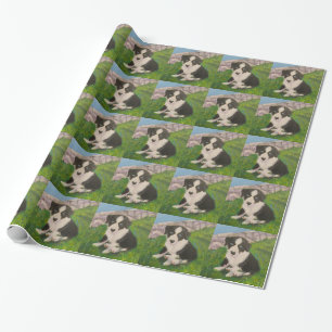 Regalo Papel de embalaje del perrito
