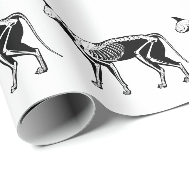 Regalo Papel de embalaje esquelético de la silueta del (Esquina del rollo)