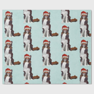 Regalo Papel de embalaje FESTIVO del COLLIE