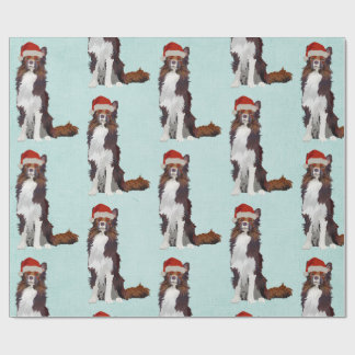 Regalo Papel de embalaje FESTIVO del COLLIE