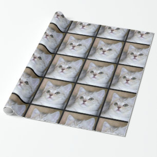 Regalo Papel de embalaje gris del gato