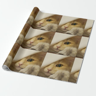 Regalo Papel de embalaje lindo del gato del gatito