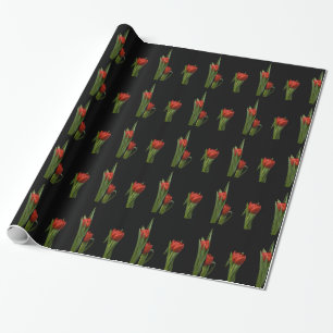 Regalo Papel de embalaje rojo elegante vibrante del