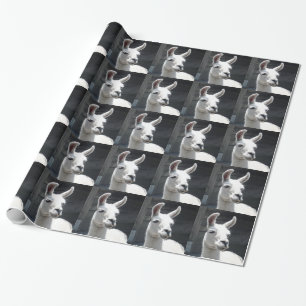 Regalo Papel de embalaje sonriente de la llama