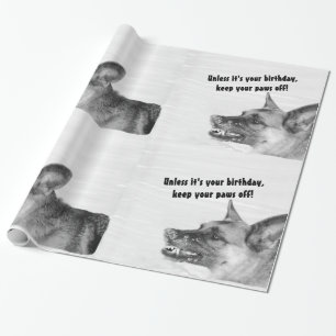 Regalo Papel de envoltorio para regalos chistoso del