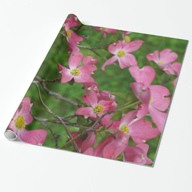 Regalo Papel de envoltorio para regalos rosado del (Desenrollado)