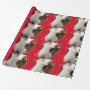 Regalo papel de envoltura de conejillo de guinea roja