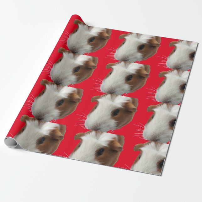 Regalo papel de envoltura de conejillo de guinea roja (Desenrollado)