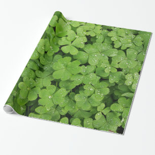 Regalo Papel de envoltura de gotas de lluvia verde de Sha