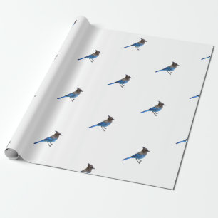 Regalo papel de envoltura de mandíbula azul estelar