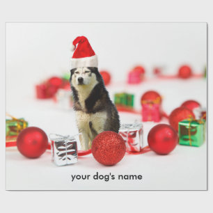 Regalo Papel de envoltura de Ornamento Siberiano Husky de
