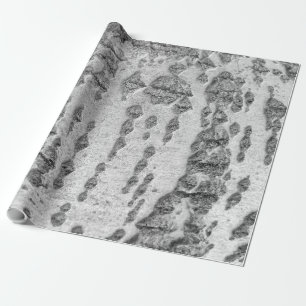 Regalo Papel de envoltura de patrón de corteza de Birch