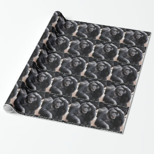 Regalo Papel de envoltura de personalizado chimpancé anti