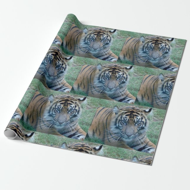Regalo Papel de envoltura de tigre (Desenrollado)