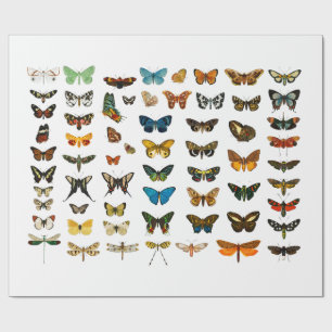 REGALO PAPEL DE ENVOLTURA : GRÁFICO DE MARIPOSAS DE VENTA