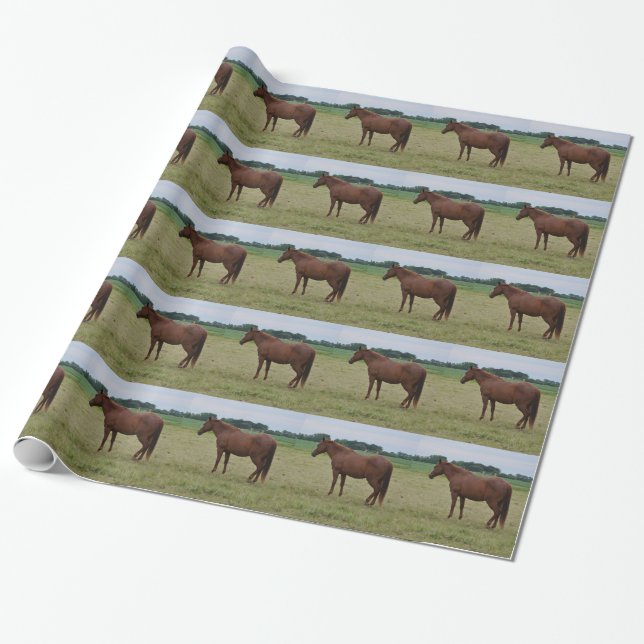 Regalo Papel de envolver con caballos (Desenrollado)