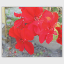 Papel de envolver con flores silvestres