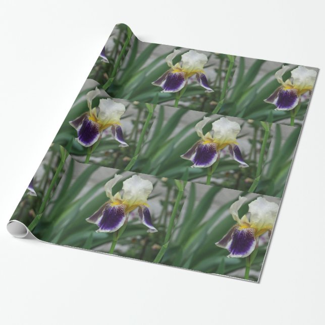 Regalo Papel de envolver con foto de flor de Iris (Desenrollado)