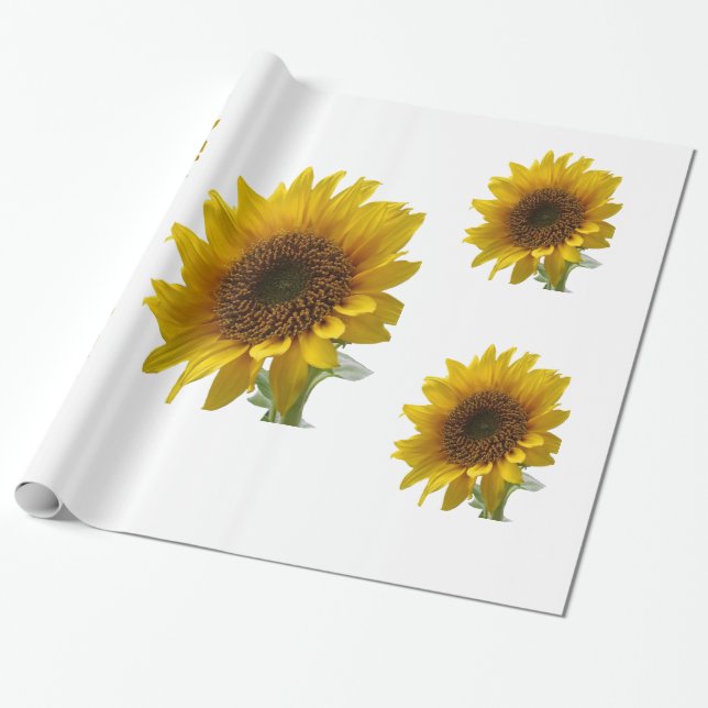 Regalo Papel de envolver con girasoles (Desenrollado)