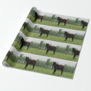 Regalo Papel de envolver de burro