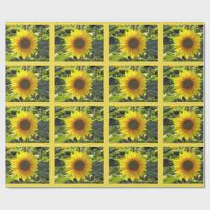 Regalo Papel de envolver de girasoles de verano suaves