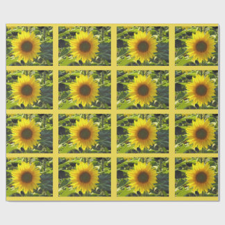 Regalo Papel de envolver de girasoles de verano suaves