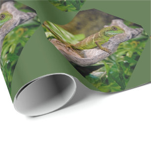 Regalo Papel de envolver Dragón de Agua Chino