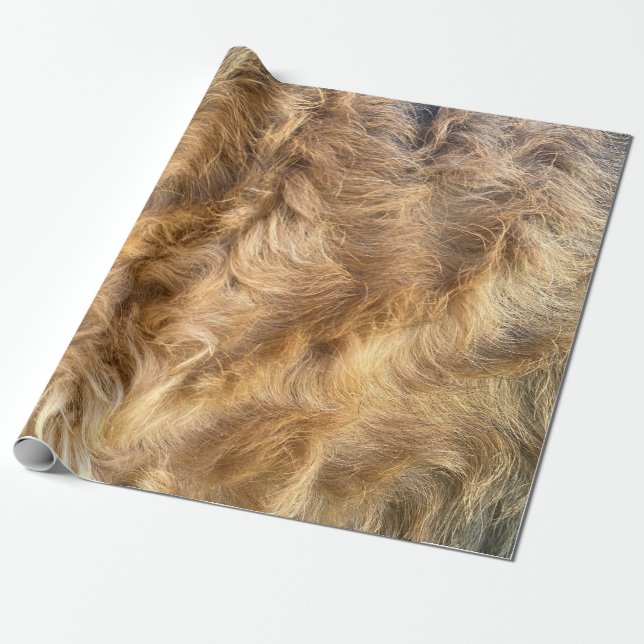 Regalo Papel de envolver pelo de Airedale (Desenrollado)