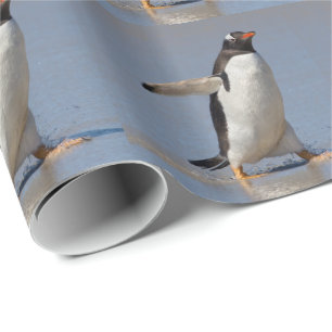 Regalo Papel de envolver pingüino de Gentoo