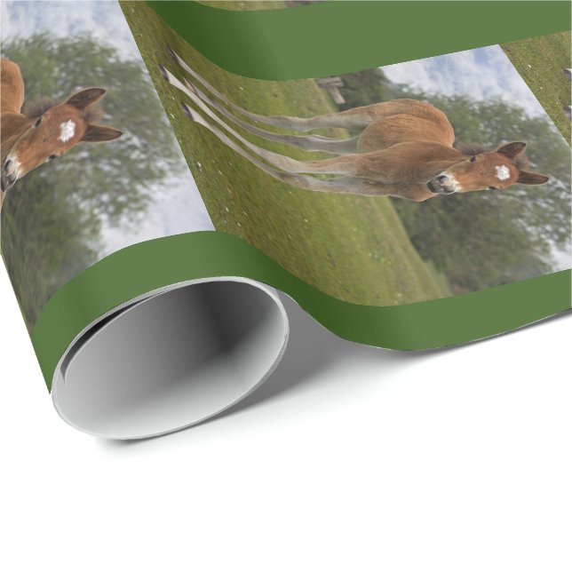 Regalo Papel de envolver potros (Esquina del rollo)