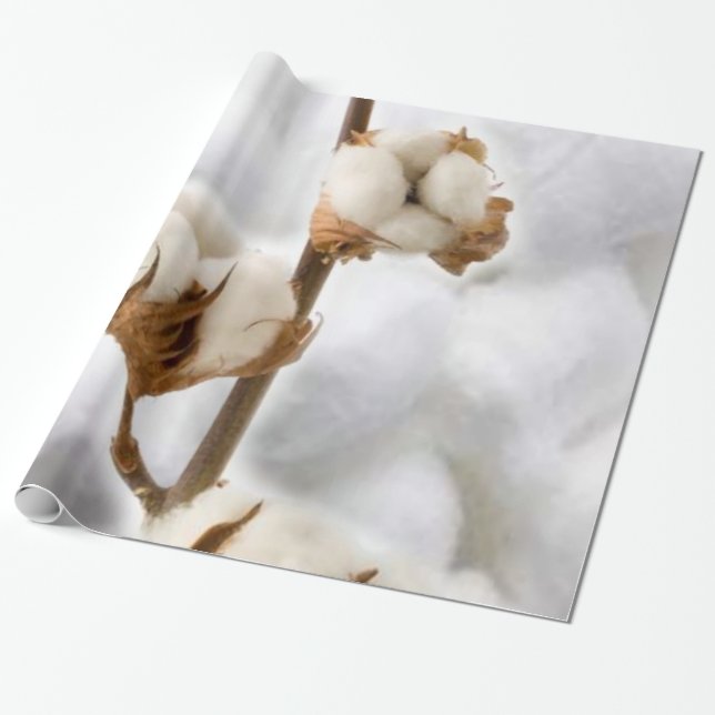 Regalo Papel de envolvimiento brillante, algodón (Desenrollado)