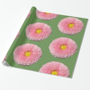 Regalo Papel de envolvimiento brillante Daisies, 30 en x 